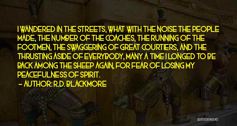 R.D. Blackmore Quotes: I Wandered In The Streets, What With The Noise The People Made, The Number Of The Coaches, The Running Of