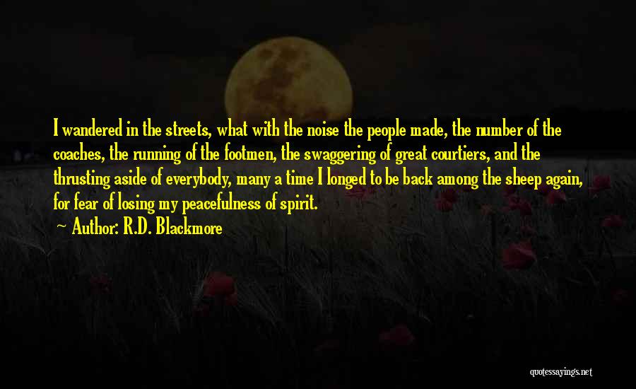 R.D. Blackmore Quotes: I Wandered In The Streets, What With The Noise The People Made, The Number Of The Coaches, The Running Of