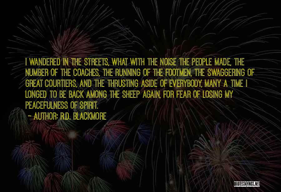 R.D. Blackmore Quotes: I Wandered In The Streets, What With The Noise The People Made, The Number Of The Coaches, The Running Of