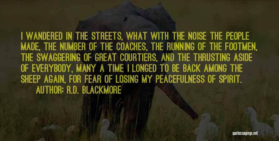 R.D. Blackmore Quotes: I Wandered In The Streets, What With The Noise The People Made, The Number Of The Coaches, The Running Of