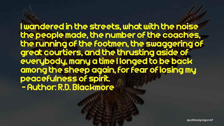 R.D. Blackmore Quotes: I Wandered In The Streets, What With The Noise The People Made, The Number Of The Coaches, The Running Of