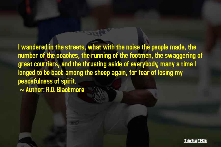 R.D. Blackmore Quotes: I Wandered In The Streets, What With The Noise The People Made, The Number Of The Coaches, The Running Of