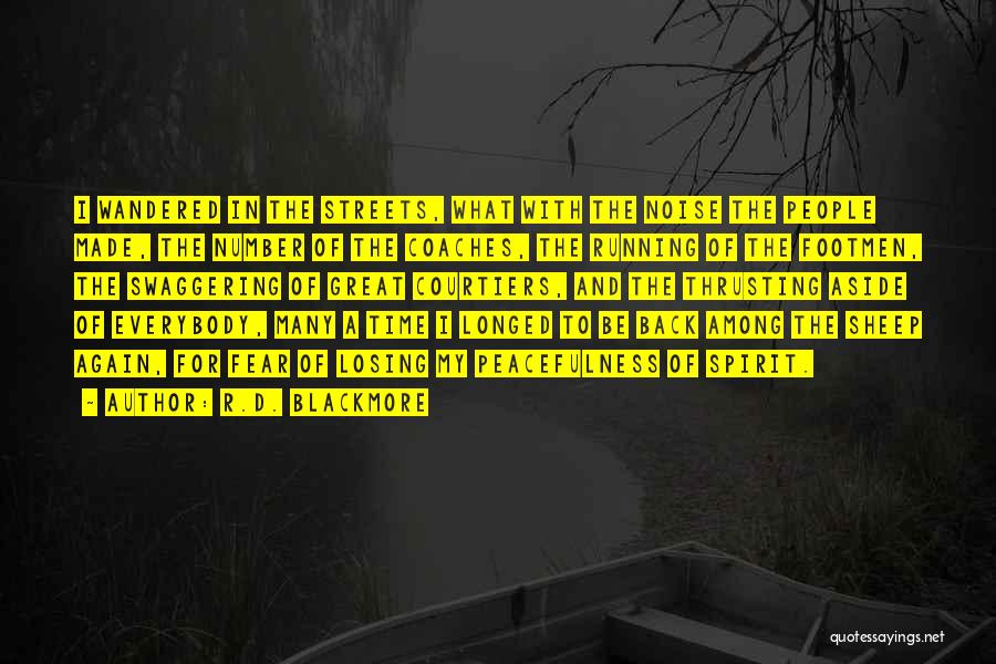 R.D. Blackmore Quotes: I Wandered In The Streets, What With The Noise The People Made, The Number Of The Coaches, The Running Of