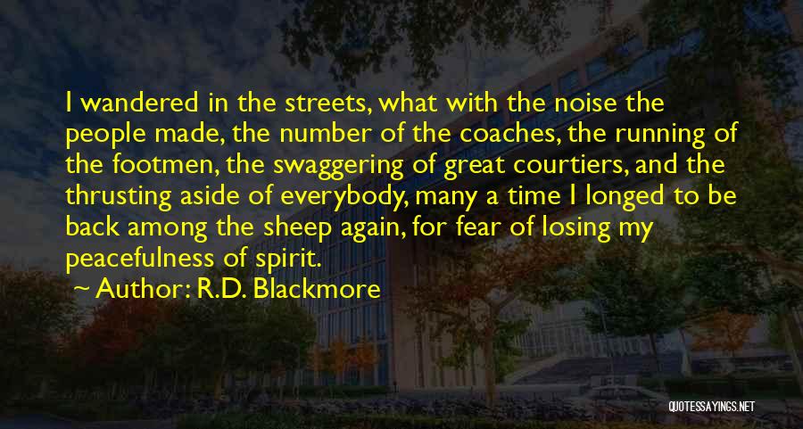 R.D. Blackmore Quotes: I Wandered In The Streets, What With The Noise The People Made, The Number Of The Coaches, The Running Of