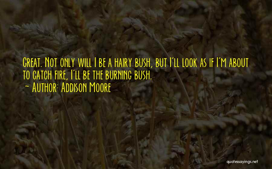 Addison Moore Quotes: Great. Not Only Will I Be A Hairy Bush, But I'll Look As If I'm About To Catch Fire, I'll