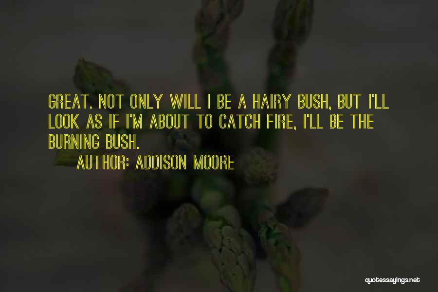 Addison Moore Quotes: Great. Not Only Will I Be A Hairy Bush, But I'll Look As If I'm About To Catch Fire, I'll