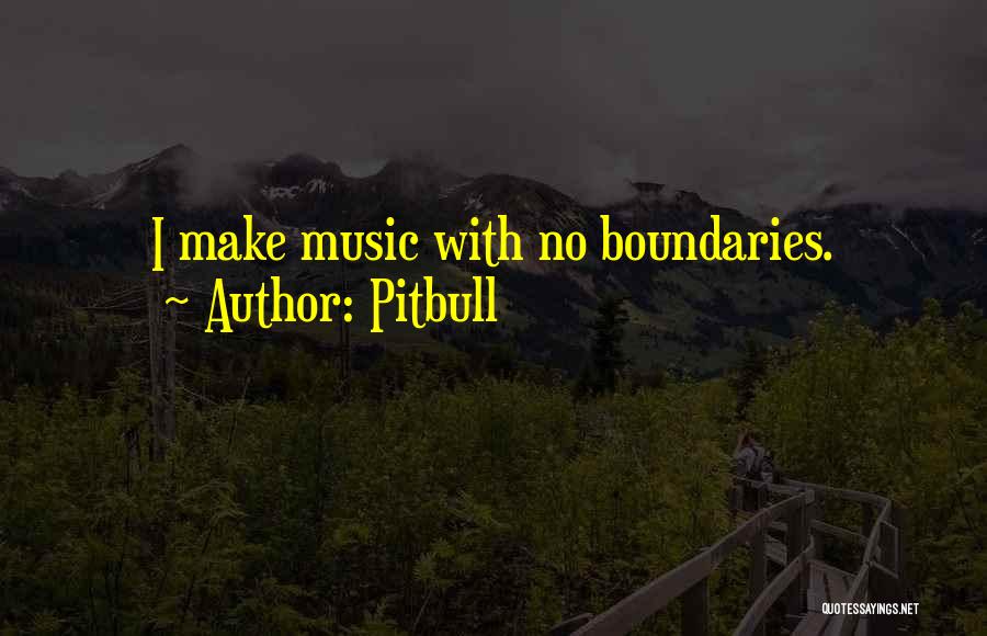 Pitbull Quotes: I Make Music With No Boundaries.