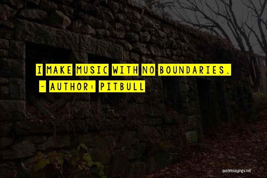 Pitbull Quotes: I Make Music With No Boundaries.