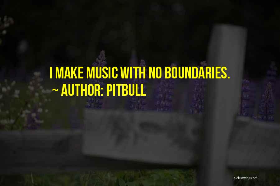 Pitbull Quotes: I Make Music With No Boundaries.