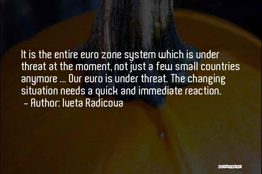 Iveta Radicova Quotes: It Is The Entire Euro Zone System Which Is Under Threat At The Moment, Not Just A Few Small Countries