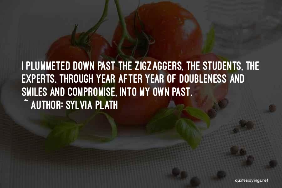 Sylvia Plath Quotes: I Plummeted Down Past The Zigzaggers, The Students, The Experts, Through Year After Year Of Doubleness And Smiles And Compromise,