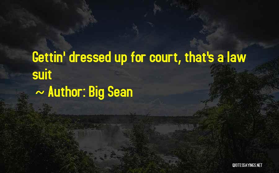 Big Sean Quotes: Gettin' Dressed Up For Court, That's A Law Suit