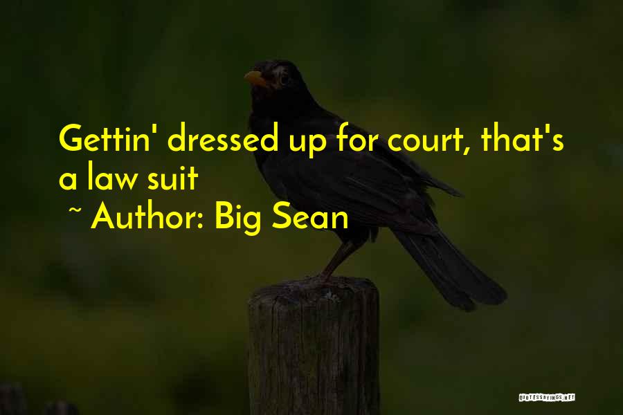 Big Sean Quotes: Gettin' Dressed Up For Court, That's A Law Suit