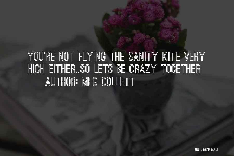 Meg Collett Quotes: You're Not Flying The Sanity Kite Very High Either..so Lets Be Crazy Together