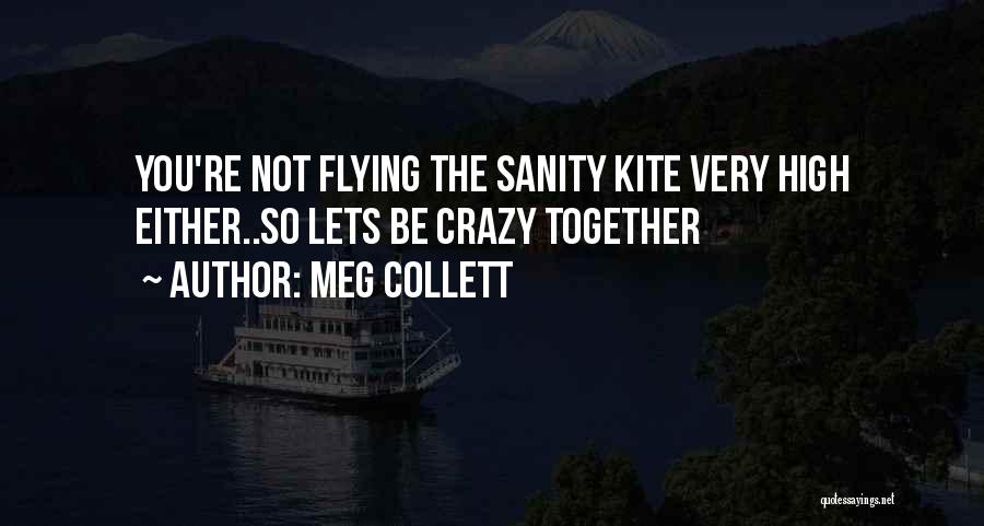 Meg Collett Quotes: You're Not Flying The Sanity Kite Very High Either..so Lets Be Crazy Together