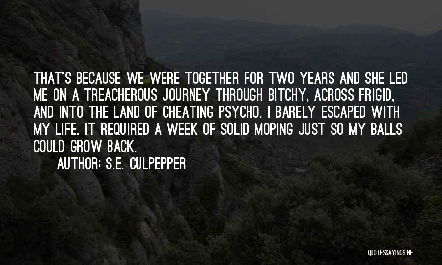 S.E. Culpepper Quotes: That's Because We Were Together For Two Years And She Led Me On A Treacherous Journey Through Bitchy, Across Frigid,