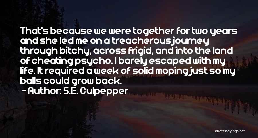 S.E. Culpepper Quotes: That's Because We Were Together For Two Years And She Led Me On A Treacherous Journey Through Bitchy, Across Frigid,