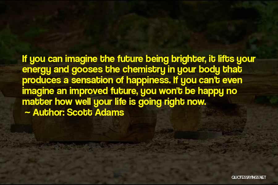 Scott Adams Quotes: If You Can Imagine The Future Being Brighter, It Lifts Your Energy And Gooses The Chemistry In Your Body That