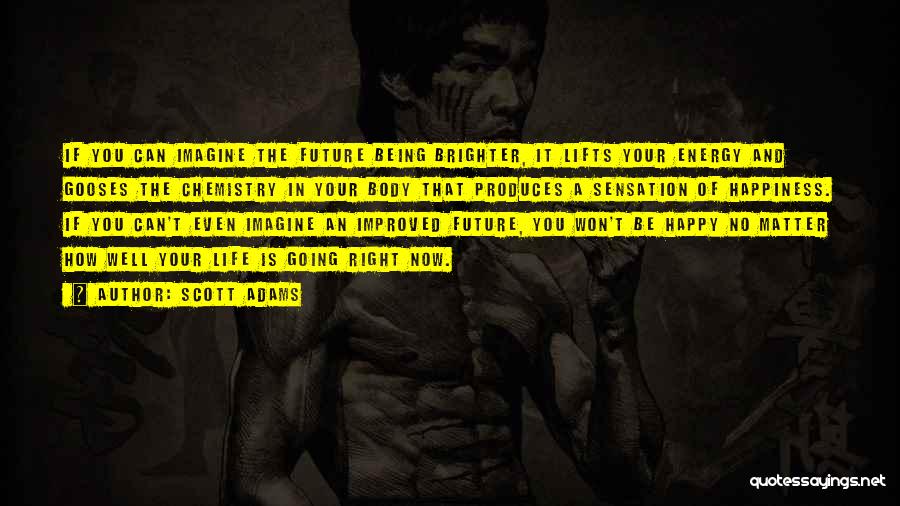 Scott Adams Quotes: If You Can Imagine The Future Being Brighter, It Lifts Your Energy And Gooses The Chemistry In Your Body That