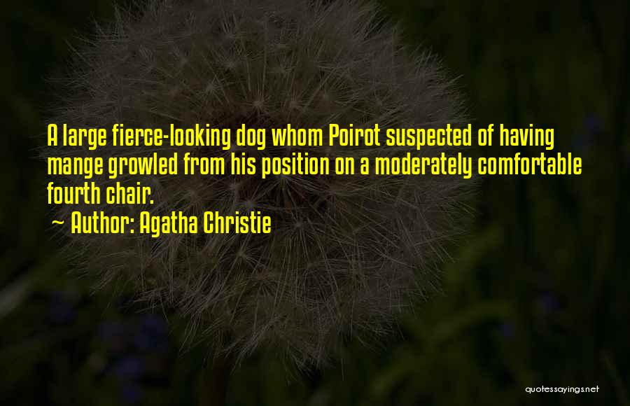 Agatha Christie Quotes: A Large Fierce-looking Dog Whom Poirot Suspected Of Having Mange Growled From His Position On A Moderately Comfortable Fourth Chair.