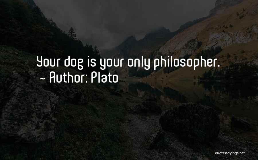 Plato Quotes: Your Dog Is Your Only Philosopher.