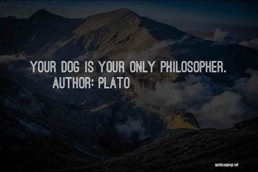 Plato Quotes: Your Dog Is Your Only Philosopher.