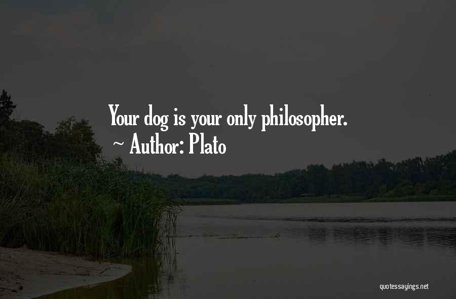 Plato Quotes: Your Dog Is Your Only Philosopher.
