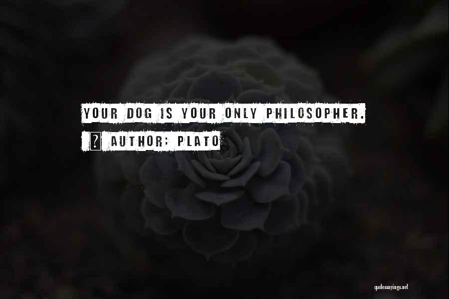 Plato Quotes: Your Dog Is Your Only Philosopher.