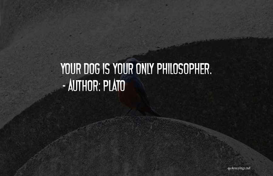 Plato Quotes: Your Dog Is Your Only Philosopher.