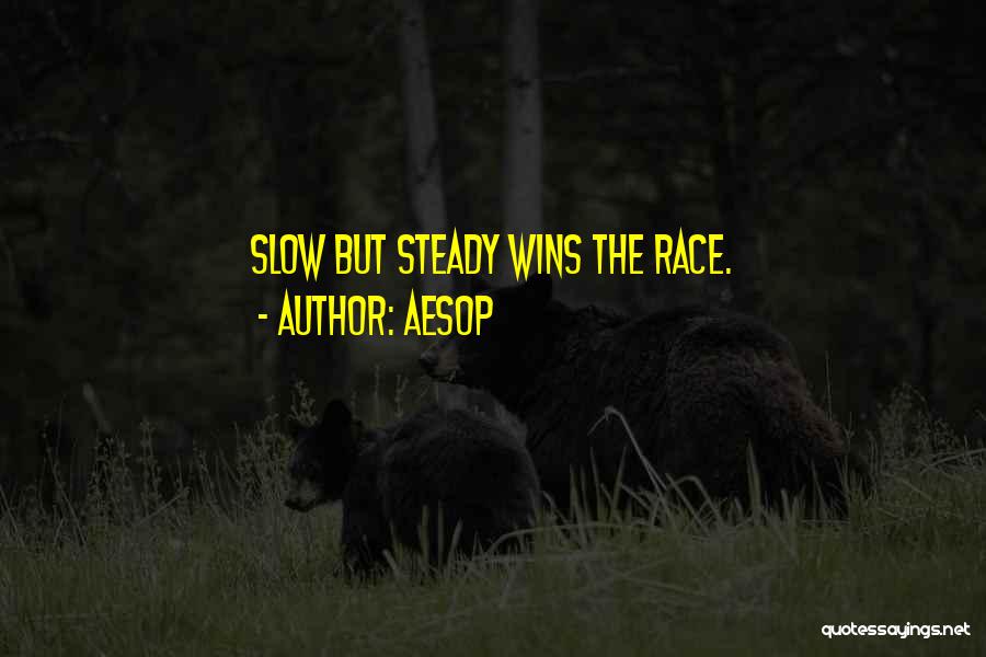 Aesop Quotes: Slow But Steady Wins The Race.