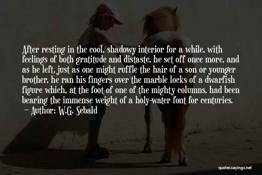 W.G. Sebald Quotes: After Resting In The Cool, Shadowy Interior For A While, With Feelings Of Both Gratitude And Distaste, He Set Off