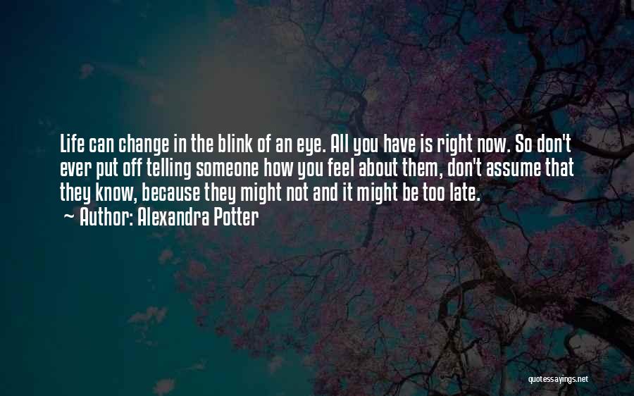 Alexandra Potter Quotes: Life Can Change In The Blink Of An Eye. All You Have Is Right Now. So Don't Ever Put Off