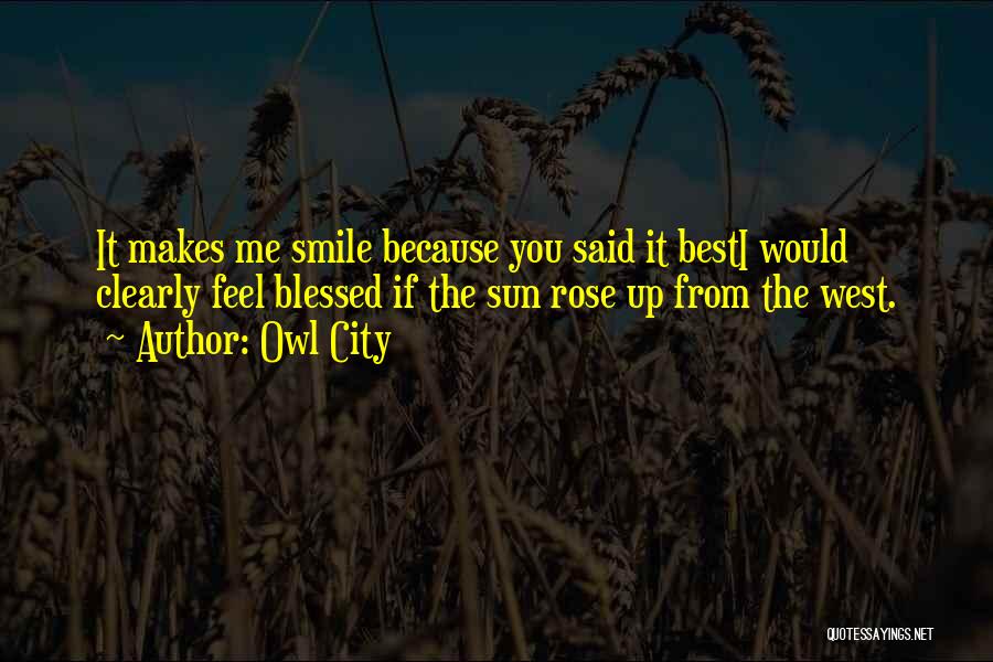 Owl City Quotes: It Makes Me Smile Because You Said It Besti Would Clearly Feel Blessed If The Sun Rose Up From The