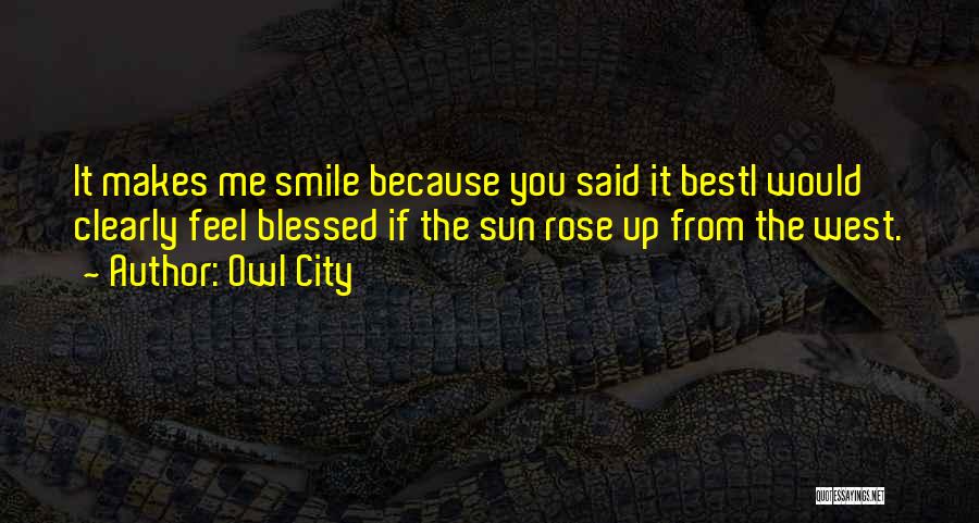Owl City Quotes: It Makes Me Smile Because You Said It Besti Would Clearly Feel Blessed If The Sun Rose Up From The
