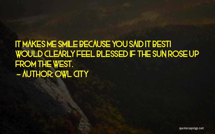 Owl City Quotes: It Makes Me Smile Because You Said It Besti Would Clearly Feel Blessed If The Sun Rose Up From The