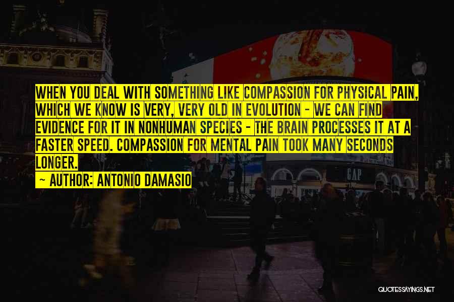 Antonio Damasio Quotes: When You Deal With Something Like Compassion For Physical Pain, Which We Know Is Very, Very Old In Evolution -