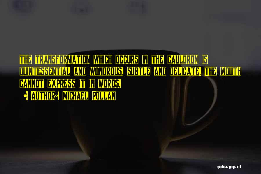 Michael Pollan Quotes: The Transformation Which Occurs In The Cauldron Is Quintessential And Wondrous, Subtle And Delicate. The Mouth Cannot Express It In