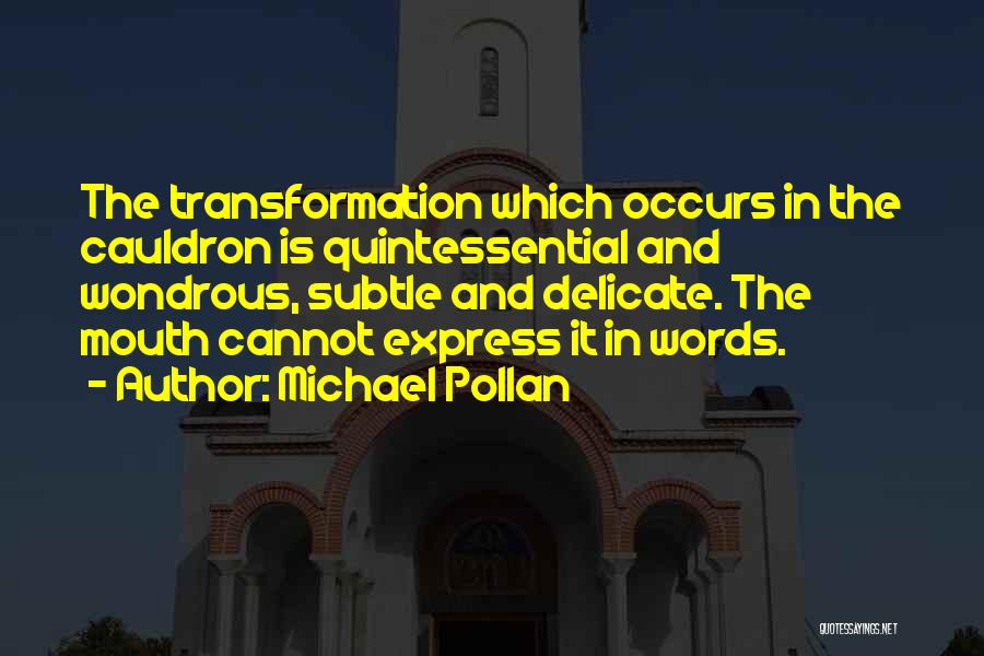 Michael Pollan Quotes: The Transformation Which Occurs In The Cauldron Is Quintessential And Wondrous, Subtle And Delicate. The Mouth Cannot Express It In