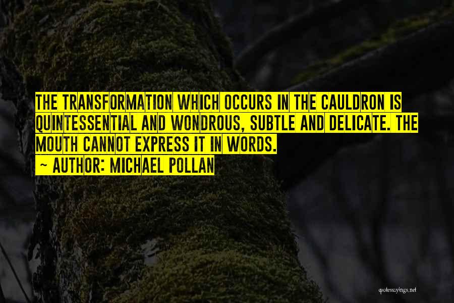 Michael Pollan Quotes: The Transformation Which Occurs In The Cauldron Is Quintessential And Wondrous, Subtle And Delicate. The Mouth Cannot Express It In