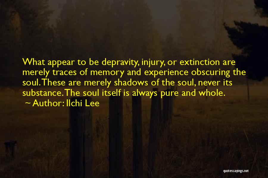 Ilchi Lee Quotes: What Appear To Be Depravity, Injury, Or Extinction Are Merely Traces Of Memory And Experience Obscuring The Soul. These Are