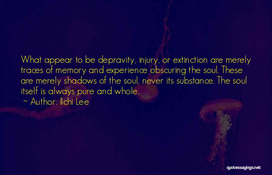 Ilchi Lee Quotes: What Appear To Be Depravity, Injury, Or Extinction Are Merely Traces Of Memory And Experience Obscuring The Soul. These Are