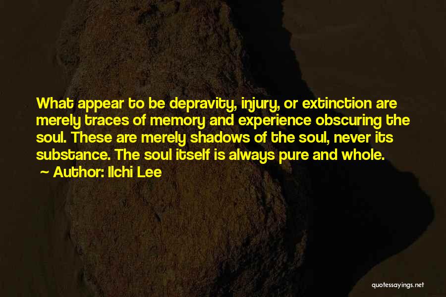 Ilchi Lee Quotes: What Appear To Be Depravity, Injury, Or Extinction Are Merely Traces Of Memory And Experience Obscuring The Soul. These Are