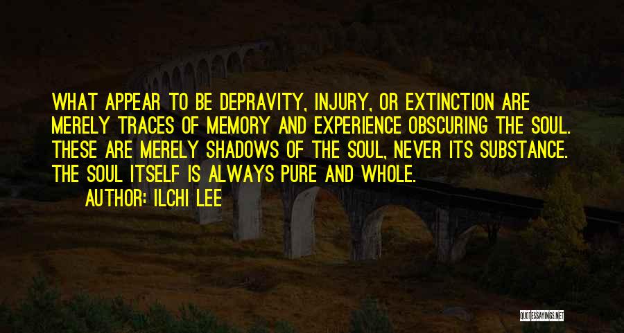 Ilchi Lee Quotes: What Appear To Be Depravity, Injury, Or Extinction Are Merely Traces Of Memory And Experience Obscuring The Soul. These Are