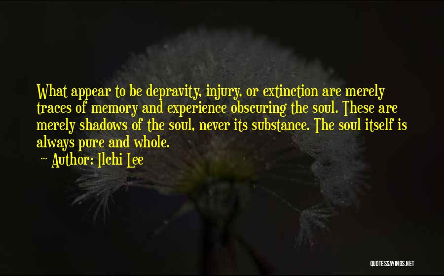 Ilchi Lee Quotes: What Appear To Be Depravity, Injury, Or Extinction Are Merely Traces Of Memory And Experience Obscuring The Soul. These Are