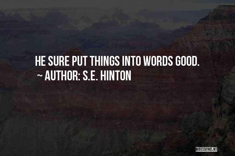 S.E. Hinton Quotes: He Sure Put Things Into Words Good.