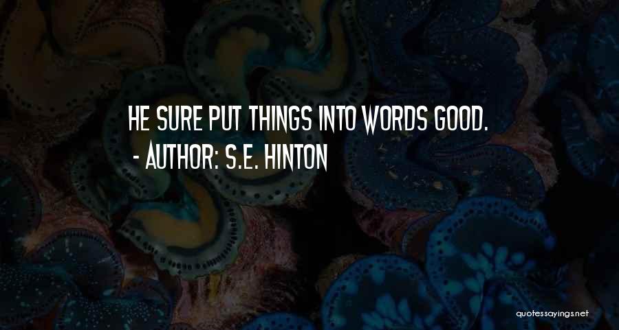 S.E. Hinton Quotes: He Sure Put Things Into Words Good.