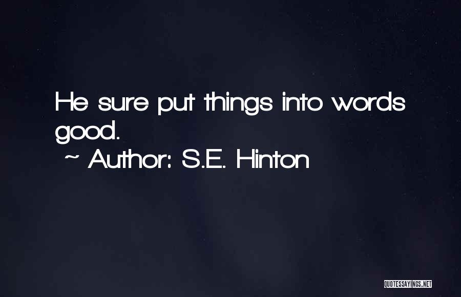 S.E. Hinton Quotes: He Sure Put Things Into Words Good.