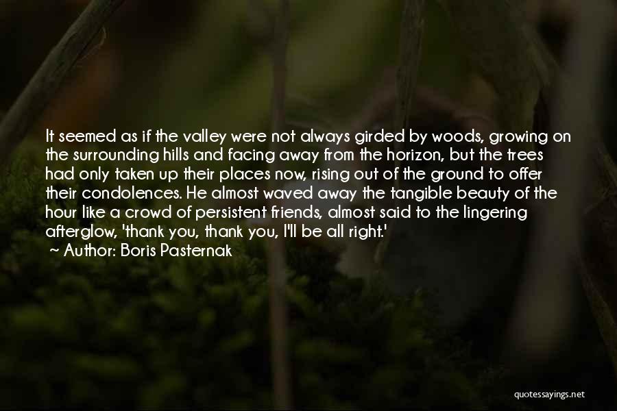 Boris Pasternak Quotes: It Seemed As If The Valley Were Not Always Girded By Woods, Growing On The Surrounding Hills And Facing Away