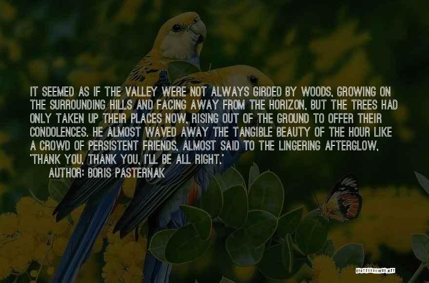 Boris Pasternak Quotes: It Seemed As If The Valley Were Not Always Girded By Woods, Growing On The Surrounding Hills And Facing Away