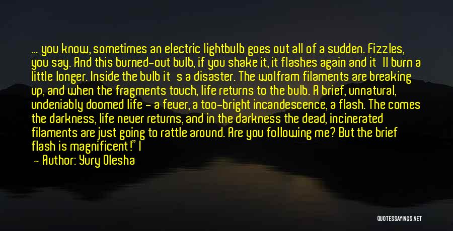 Yury Olesha Quotes: ... You Know, Sometimes An Electric Lightbulb Goes Out All Of A Sudden. Fizzles, You Say. And This Burned-out Bulb,